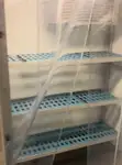 Круизен ферибот за продажба