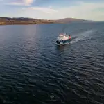 Кораб за проучване за продажба