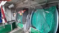 Транспортен кораб за жива риба за продажба