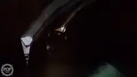 Тралер за продажба