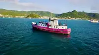General Cargo/Multi-purpose за продажба