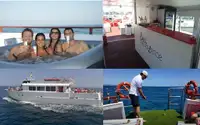 Круизен кораб за продажба