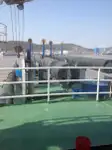 Драга за продажба