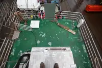 Ферибот за продажба