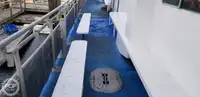 Катамаран за продажба