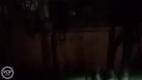 Тралер за продажба