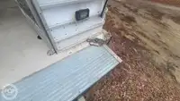 Круизен кораб за продажба