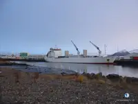 Хладилен кораб за продажба