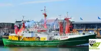 Бърз снабдителен кораб (FSV) за продажба