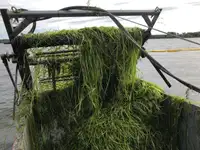 Танкер за отпадни води за продажба