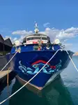 Круизен кораб за продажба