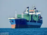 Транспортен кораб за насипни товари за продажба