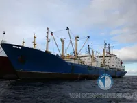 Хладилен кораб за продажба