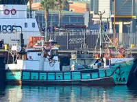 Purse seiner за продан