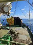 Purse seiner за продан