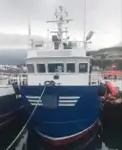 Работни лодки за продажба