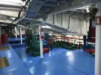 Ro-Ro ship за продан