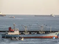 Хладилен кораб за продажба