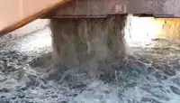 Драга за продажба