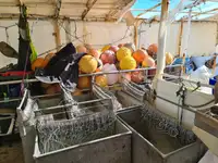 Дълголинеен тралер за продажба