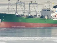 Хладилен кораб за продажба