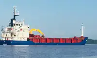 Транспортен кораб за насипни товари за продажба
