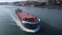 Транспортен кораб за насипни товари за продажба