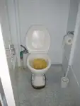 Дълголинеен тралер за продажба