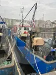 Жив носач на риба за продан