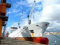 Хладилен кораб за продан