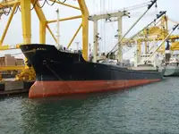 Транспортен кораб за насипни товари за продажба