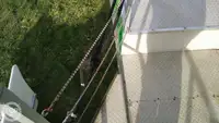 Контейнеровоз за продажба