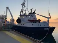 Транспортен кораб за насипни товари за продажба