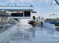 Транспортен кораб за насипни товари за продажба