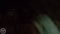 Тралер за продажба