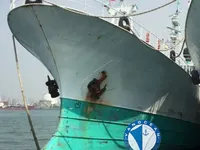 Дълголинеен тралер за продажба