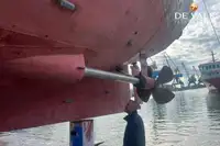 Ферибот за продажба