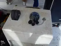 Тралер за продажба