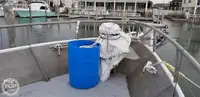 Тралер за продажба