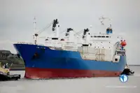 Хладилен кораб за продажба