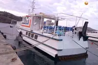 Ферибот за продажба