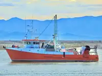 Trawler за продан