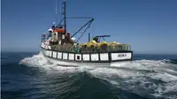 Trawler за продан