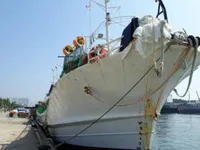 Кораб за улов на калмари за продажба