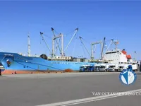 Хладилен кораб за продан