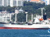 Хладилен кораб за продажба
