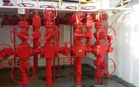 Транспортен кораб за втечнен природен газ (LNG) за продажба