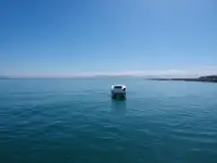 Катамаран за продажба