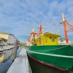 Патрулен кораб за продажба