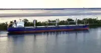 Насипен превозвач за продан